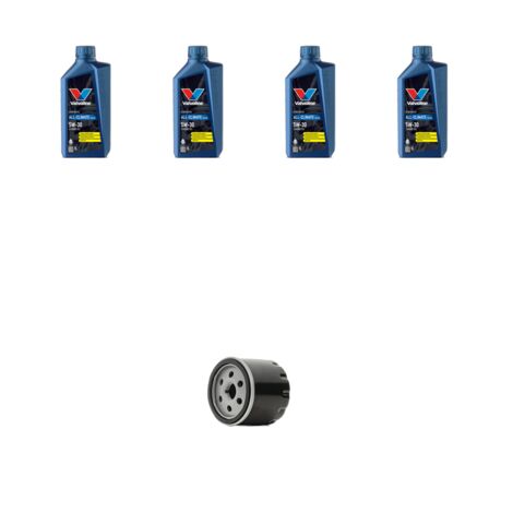 Kit filtro olio e 4L compatibile con Seat Leon III 1.4 TSI 110kw Dal 2014