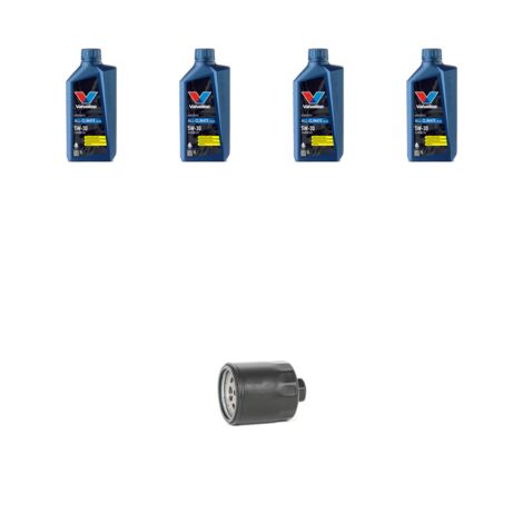 Kit filtro olio e 4L compatibile con Skoda Fabia II (545,542) 1.4 16v 63kw dal 2007 al 2014