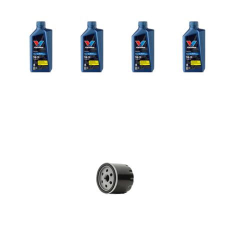 Kit filtro olio e 4L compatibile con Vw Golf VII (5G1/BA5) 1.2 TSI 81kw Dal 2013