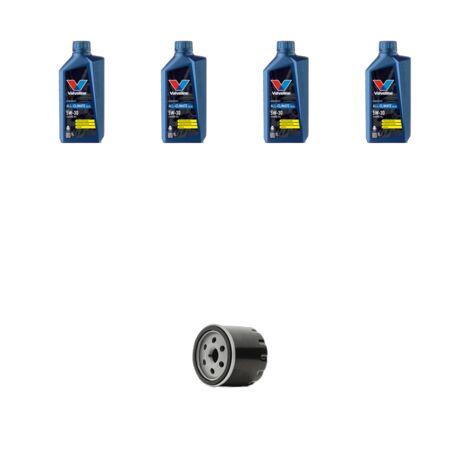 Kit filtro olio e 4L compatibile con Vw Tiguan II (AD1) 1.4 TSI 110kw Dal 2016