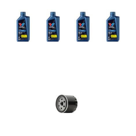 Kit filtro olio e 4L compatibile con Vw Tiguan II (AD1) 1.4 TSI 92kw Dal 2016