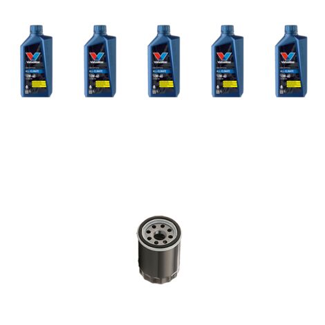 Kit filtro olio e 5L compatibile con Citroen C5 2.2 hdi 98kw dal 2000