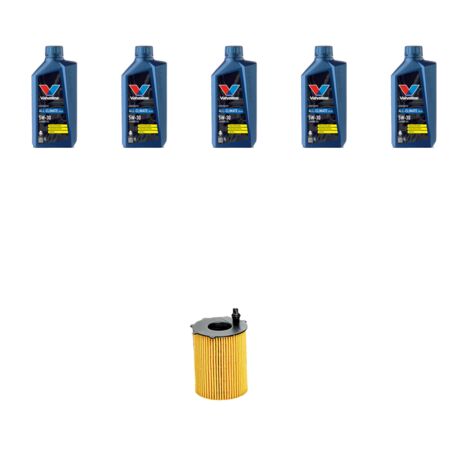 Kit filtro olio e 5L compatibile con Citroen Dispatch II 1.6 HDI 66kw dal 2007