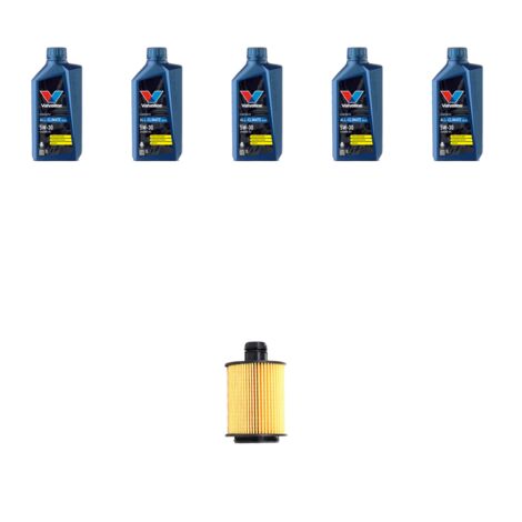 Kit filtro olio e 5L compatibile con Lancia Musa 1.6 Multijet 85kw dal 2008