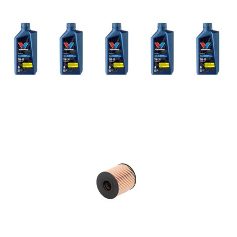 Kit filtro olio e 5L compatibile con Peugeot Expert II 2.0 HDI 88kw dal 2007
