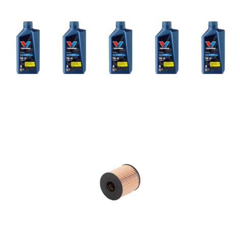 Kit filtro olio e 5L compatibile con Peugeot Expert II 2.0 HDI FAP 72kw dal 2011