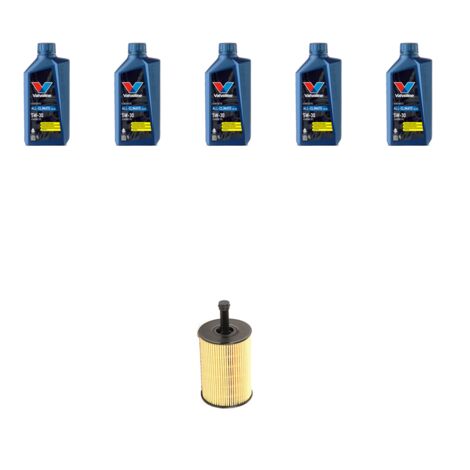 Kit filtro olio e 5L compatibile con Seat Exeo 1.6 (3R5,3R2) 2.0 TDI 105kw dal 2009