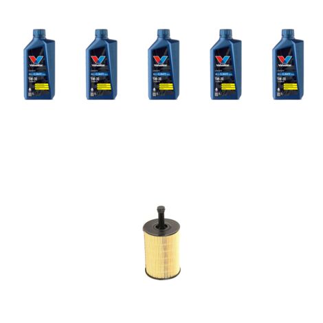 Kit filtro olio e 5L compatibile con Seat Exeo 1.6 (3R5,3R2) 2.0 TDI 88kw dal 2009