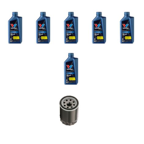 Kit filtro olio e 6L compatibile con Citroen C5 3.0 v6 152kw dal 2000