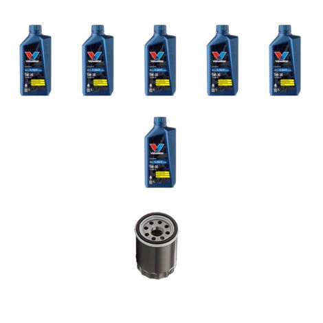 Kit filtro olio e 6L compatibile con Ford Mondeo IV 2.0 EcoBoost SCTI 176kw dal 2010