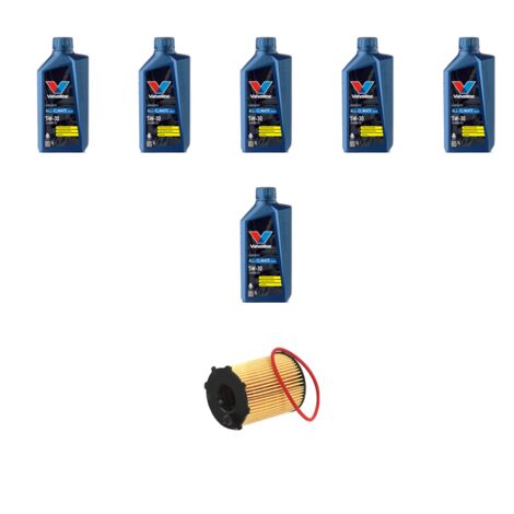 Kit filtro olio e 6L compatibile con Hyundai Sonata V (NF) 2.0 CRDI 110kw dal 2008