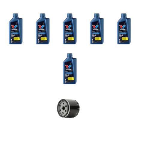 Kit filtro olio e 6L compatibile con Renault Scenic I 1.9 dti 72kw Dal 1999