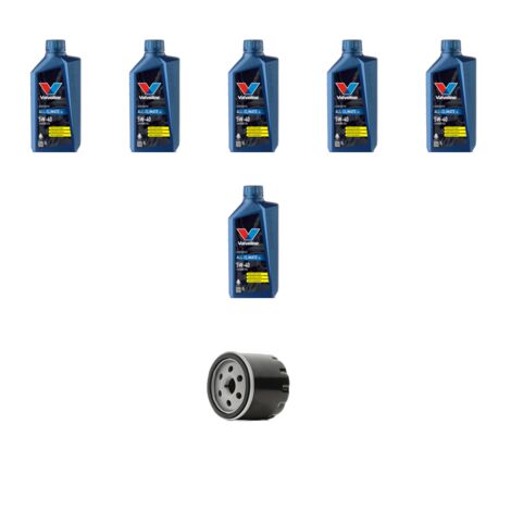 Kit filtro olio e 6L compatibile con Renault Scenic I 1.9 dti 74kw Dal 1997