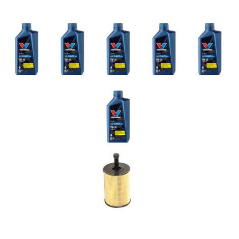 Kit filtro olio e 6L compatibile con Vw Golf IV (1j1 1j5) 2.8 V6 150kw Dal 1999 al 2006