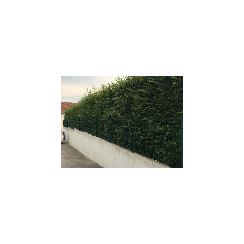 Cloture&jardin - Kit Grillage Rigide Vert 10M - jardimalin+ - Fil 4mm - Sur Platines - 1,53 mètre - Vert (ral 6005)