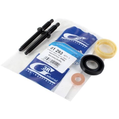 KIT GUARNIZIONE INIETTORE + VITE PSA 3RG 81293