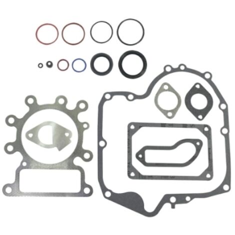 Kit guarnizioni motore BRIGGS & STRATTON OHV 12,5-13/13,5 HP 796181 320317