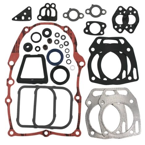 Kit guarnizioni per motore BRIGGS & STRATTON bicilindrico VANGUARD 841188 320311