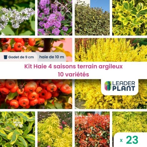 Kit Haie 4 saisons terrain Argileux – 10 variétés – Lot de 23 plants en godet pour une haie de 10m