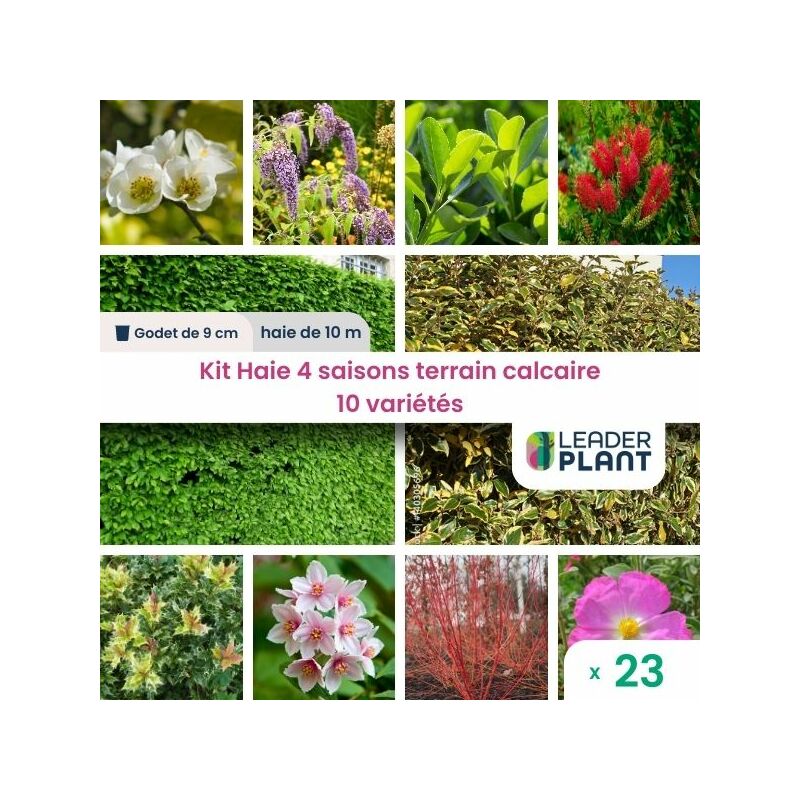 Kit Haie 4 Saisons Terrain Calcaire – 10 variétés – lot de 23 plants en godet