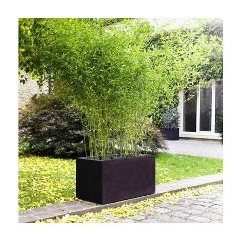 Jardiniere Brise Vue A Prix Mini