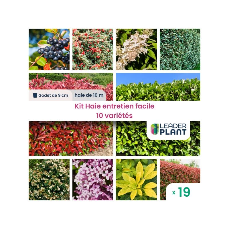 Kit Haie brise vue Entretien facile – 10 variétés – Lot 19 plants en godet
