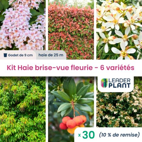 Kit Haie Brise Vue Fleurie - 6 variétés - 30 plantes en godet