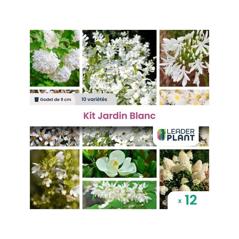 Kit Jardin blanc - 9 variétés - Lot de 12 godets