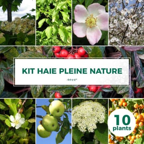 Kit Haie Pleine Nature - 10 jeunes plants -