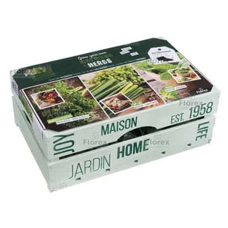 Kit Herbes aromatiques en caisse bois. Multi. Marque : Florex. Réf. : 9658