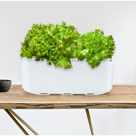 Kit hidropónico inteligente con riego automático: sistema de cultivo interior para plantas y hortalizas. Construcción robusta de ABS. Fácil de usar y ahorra espacio.