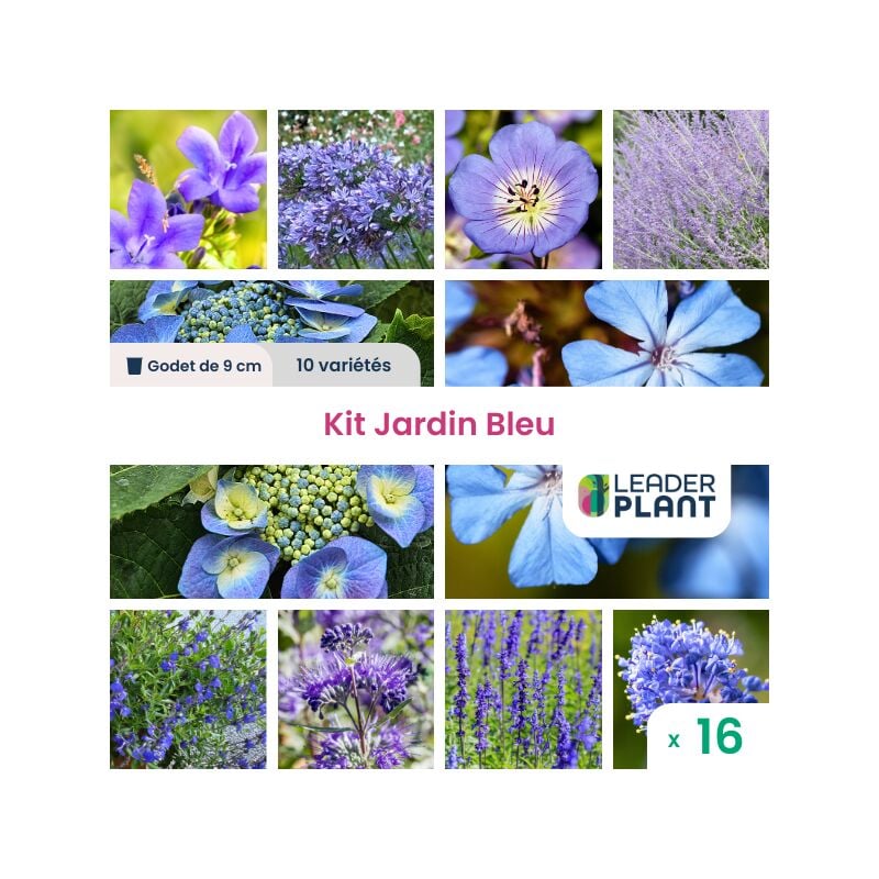 Leaderplantcom - Kit Jardin bleu - 10 variétés - lot de 16 godets