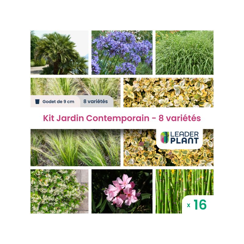 Kit Jardin Contemporain - 8 variétés - lot de 16 godets