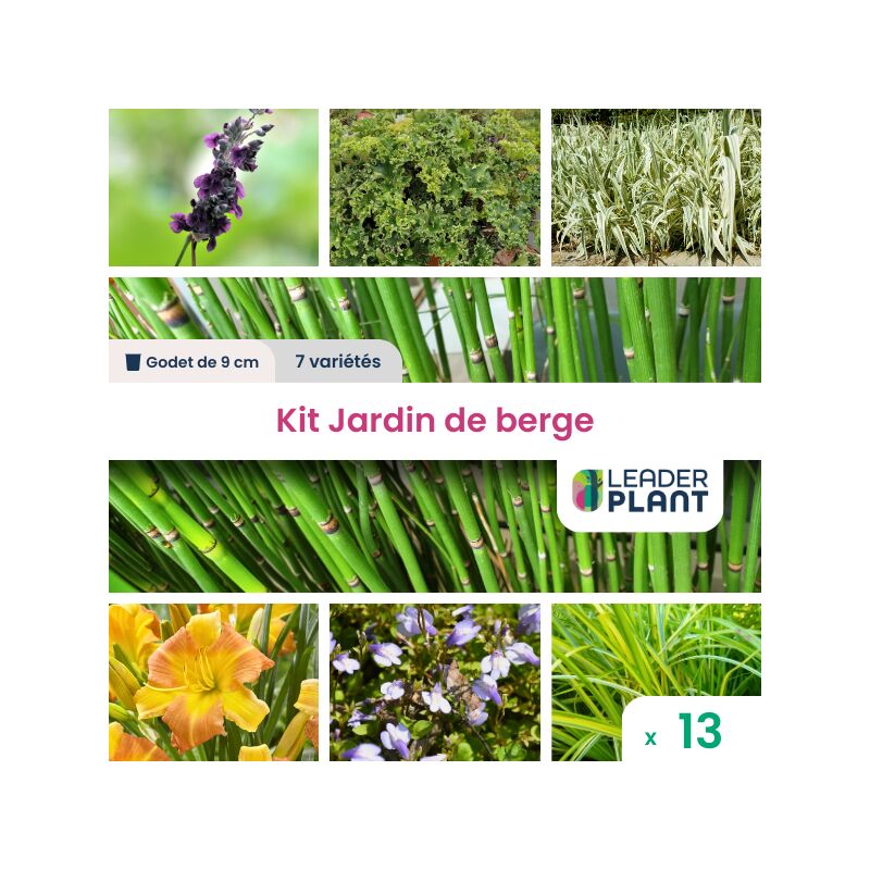 Leaderplantcom - Kit Jardin de Berge - 7 variétés - lot de 13 godets