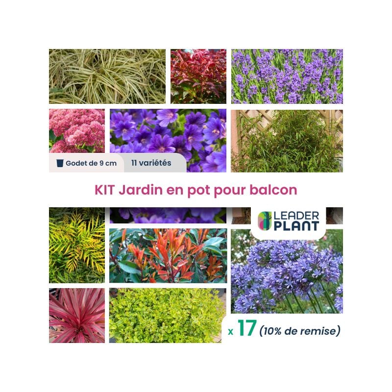 KIT Jardin en Pot pour Balcon - 11 variétés