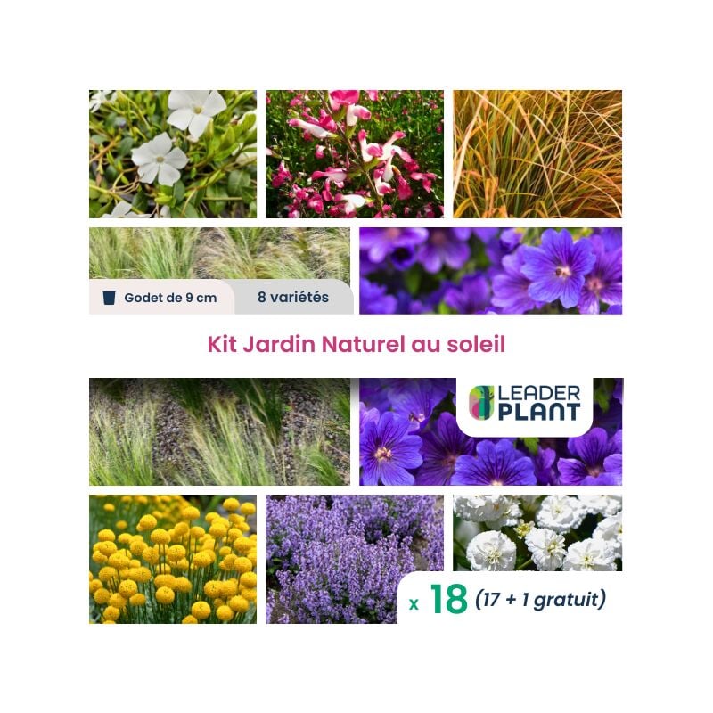 Kit Jardin naturel au soleil - 8 variétés - lot de 18 godets