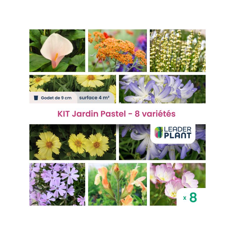 Kit Jardin Pastel - 8 variétés en godet