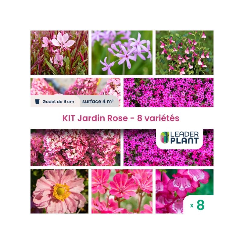 Kit Jardin rose - 8 variétés en godet