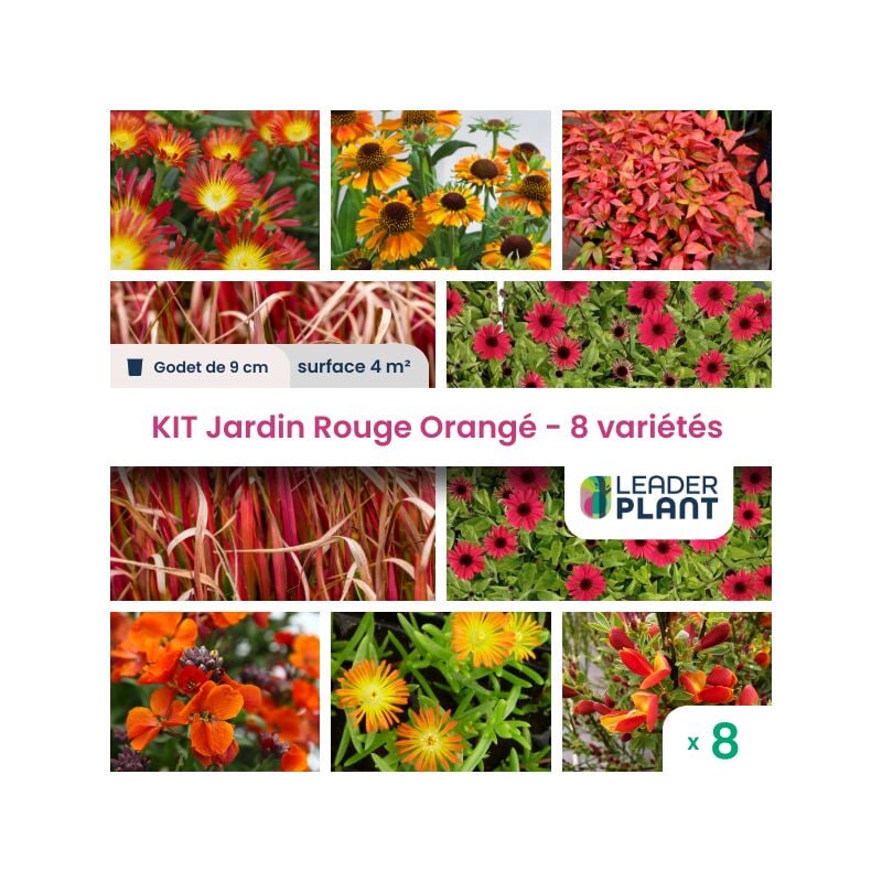 Kit Jardin rouge-orangé - 8 variétés en godet