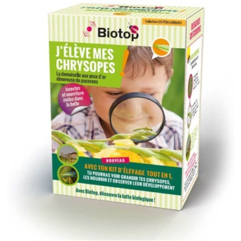 Kit : j'élève mes chrysopes Tout en 1