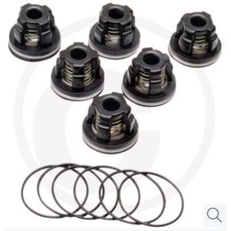 Kit joint torique pour pompe à membrane AR 503 AP C/SP ANNOVI 6701987