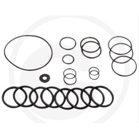Kit joint torique pour pompe à membrane AR160 185 ANNOVI 67012041