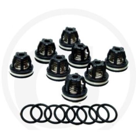 Kit joint torique pour pompe à membrane AR160 185 ANNOVI 6702374