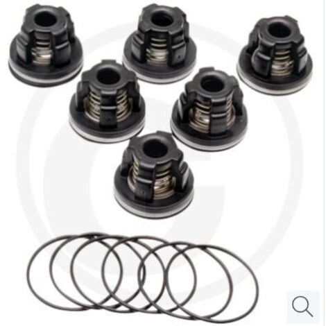Kit joint torique pour pompe à membrane AR45 bp C blue flex ANNOVI 67042524
