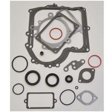 Kit joints BRIGGS ET STRATTON 690189