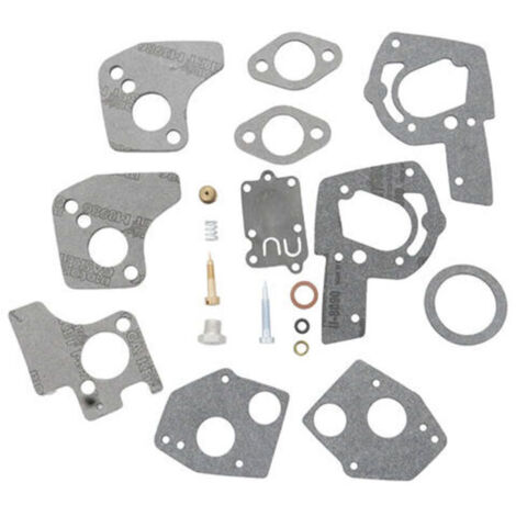 Kit joints carburateur Briggs & Stratton