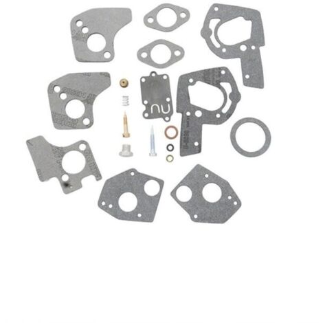 Kit joints carburateur Briggs & Stratton
