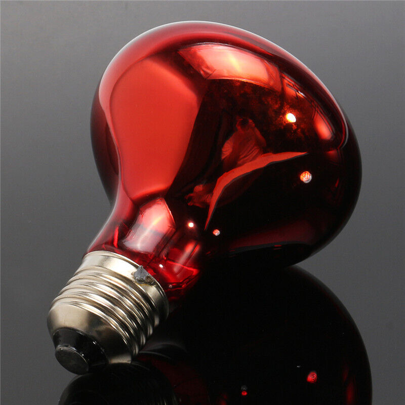 Kit Lampe Chauffante Reptile - Ampoule Chauffante pour Tortue Lézard Poussin Serpent Hamster 150W Lot de 1 Rouge(E27)