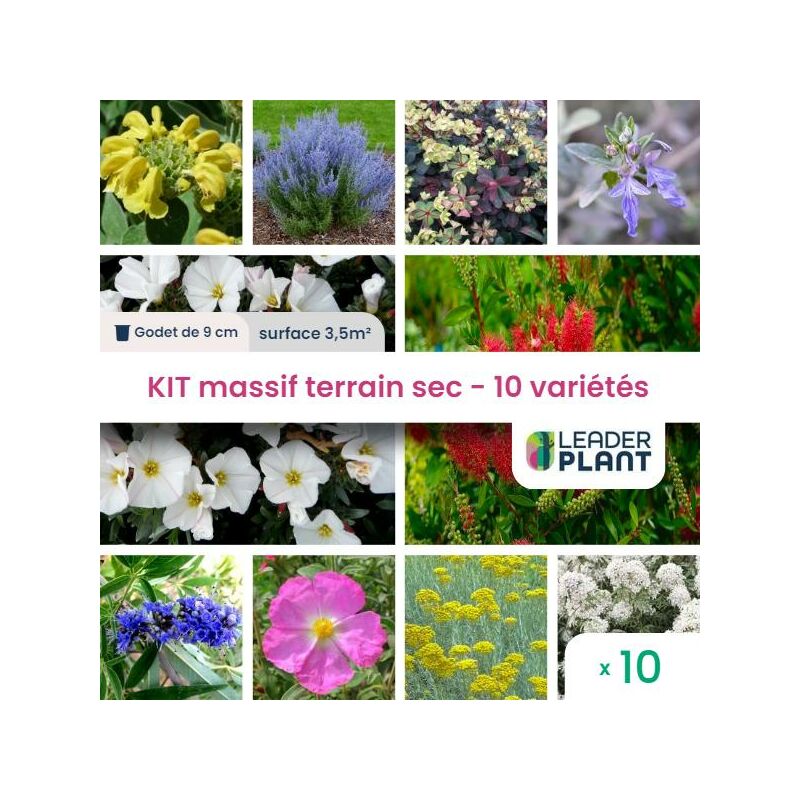 Leaderplantcom - Kit Massif Terrain Sec – 10 variétés en godet