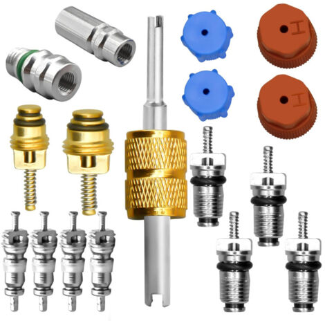 Kit nucleo valvola aria condizionata, incluso nucleo valvola sistema di refrigerazione A/C, tappo di tenuta porta di servizio AC, strumento di rimozione nucleo valvola, valvole di servizio A/C